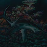 danger in paradise image